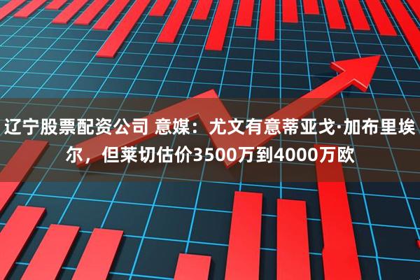 辽宁股票配资公司 意媒：尤文有意蒂亚戈·加布里埃尔，但莱切估价3500万到4000万欧
